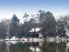 公园雪景
