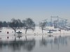 公园雪景