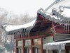公园雪景