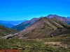 【青海行】—大冬树山垭口