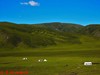 【青海行】—大冬树山垭口