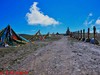 【青海行】—大冬树山垭口