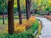 水车园【兰州】