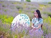 薰衣草花田人像2