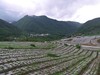 随拍