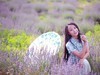 薰衣草花田人像2