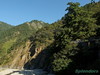清晨山林步道  (與陽光槓上, 蓝天 + 绿林, 通通打包)