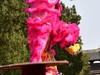 大年初一，惠山寺前狮舞春
