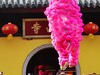 大年初一，惠山寺前狮舞春