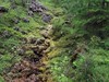 阿尔山