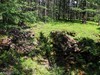 阿尔山