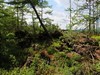 阿尔山