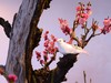 颐和园梅展