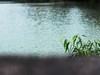 西湖随拍