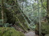丹霞寨下大峡谷