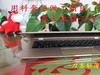刀客笔记本京东众筹最后一天，喜欢的抓紧下手哟。。。。。。