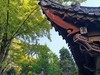 手机扫街——背街/小巷/阳光