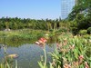 国庆到萝岗科学城广场逛逛