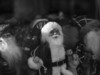 从全画幅到C画幅轻便就好