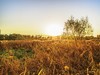 公园秋日【兰州湿地公园】