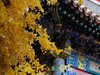 #摄影技巧分享# 速速收藏起来 最实用的雪天拍照技能大分享