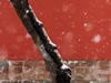 #摄影技巧分享# 速速收藏起来 最实用的雪天拍照技能大分享