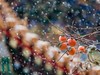 #摄影技巧分享# 速速收藏起来 最实用的雪天拍照技能大分享