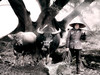 从杨家溪的作品内幕说起：摄影人应该去哪里摄（有图有真相）