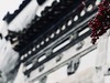 欲识金银气，多从黄白游。松下LX10初行徽州杂片