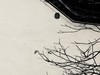 欲识金银气，多从黄白游。松下LX10初行徽州杂片