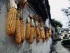 欲识金银气，多从黄白游。松下LX10初行徽州杂片