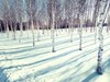 火热的冰雪世界