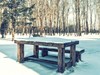 火热的冰雪世界