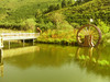 坝上美景