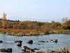 长白山