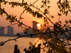夕阳无限好，只是近黄昏！