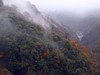 雨雾中的光雾山