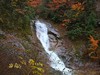 雨雾中的光雾山