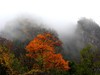 雨雾中的光雾山