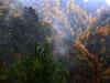 雨雾中的光雾山