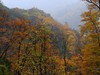 雨雾中的光雾山