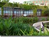 新建公园