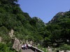 泰山一日游