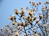 春暖花开