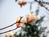 春暖花开