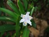 春暖花开