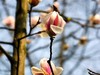 春暖花开