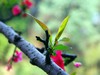 春暖花开