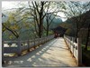 秋冬交替