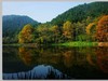 秋冬交替